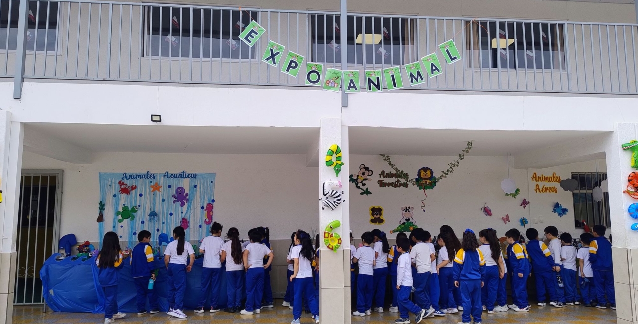 Realizamos una nueva versión de la expo-animales reciclados